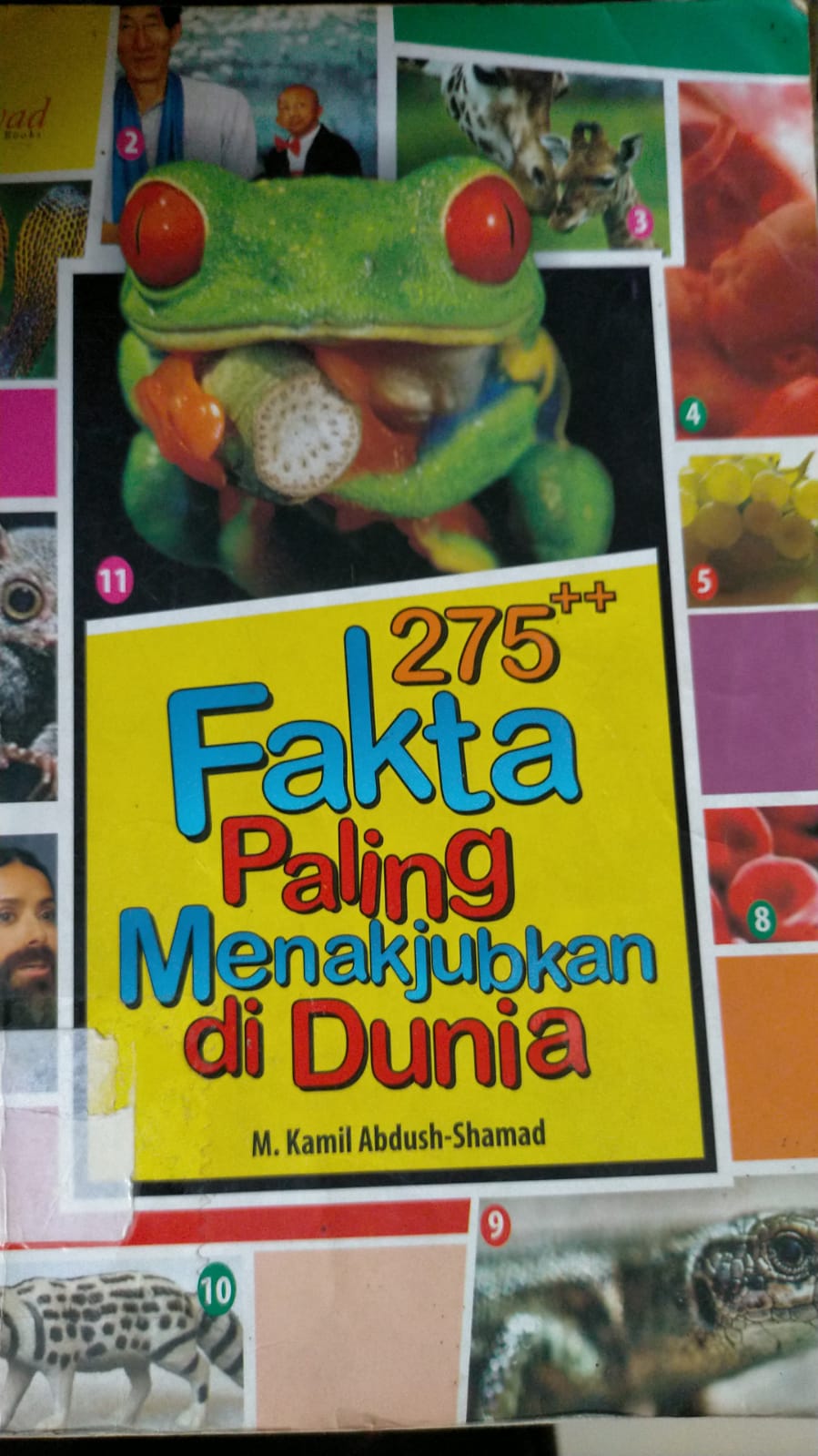 275++ FAKTA YANG PALING MEABJUKAN