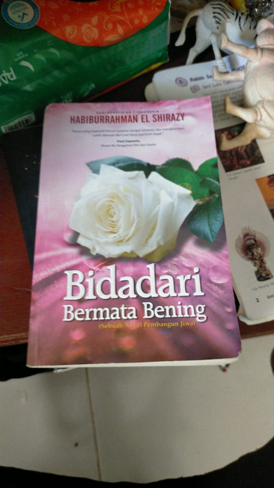 BIDADARI BERMATA BENING