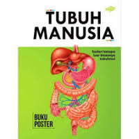Image of Tubuh Manusia